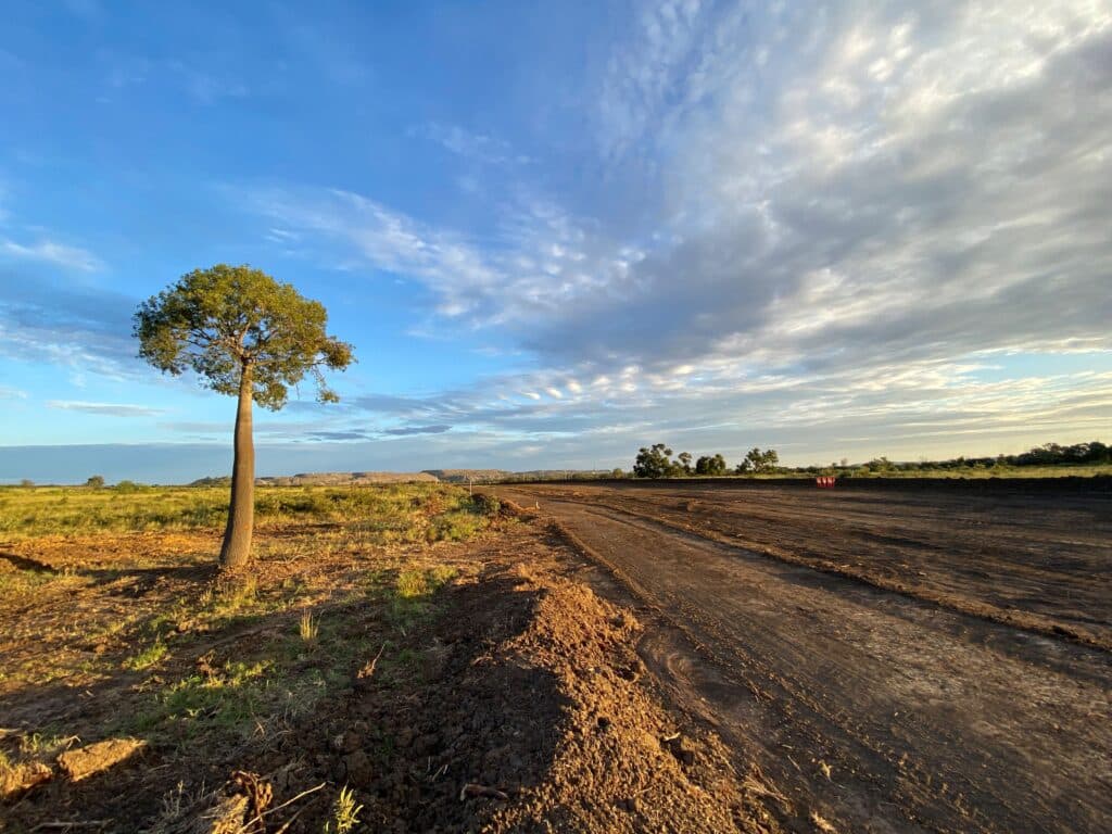 Civil Mining & Construction - News Tree Re-Location